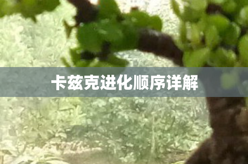 卡兹克进化顺序详解图片