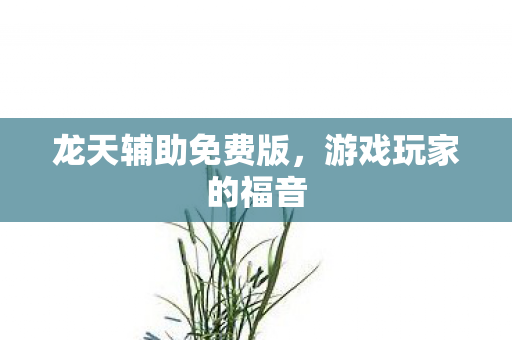 龙天辅助免费版图片