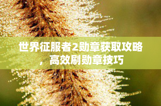 世界征服者2勋章获取攻略图片