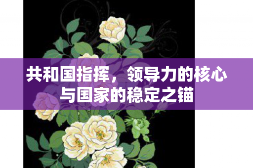 领导力的核心与国家的稳定之锚图片