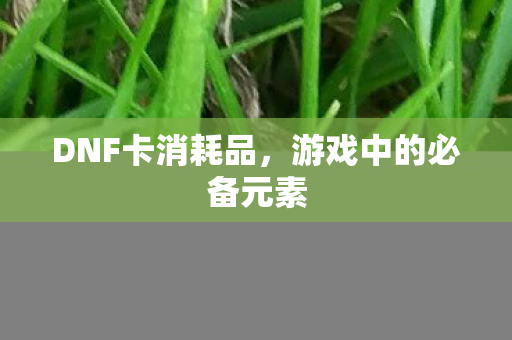 游戏中的必备元素图片