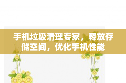 手机垃圾清理专家图片