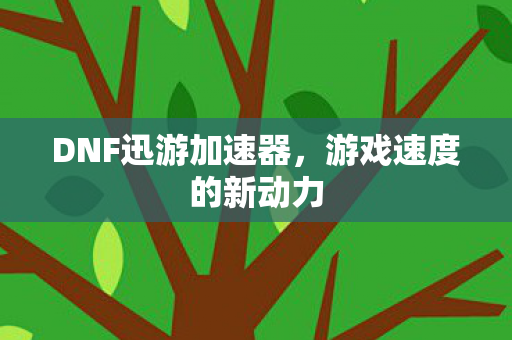 DNF迅游加速器图片