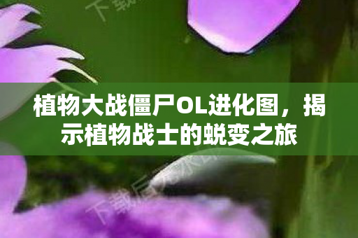 植物大战僵尸OL进化图图片
