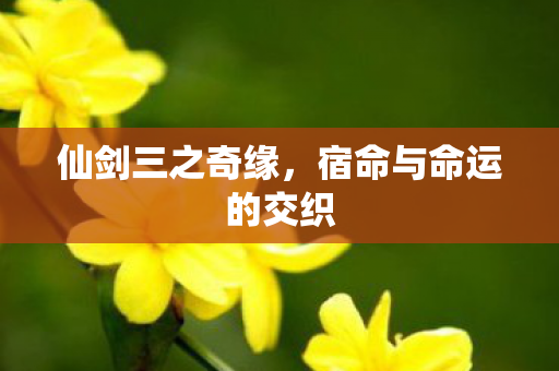 宿命与命运的交织图片