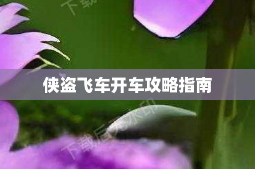 侠盗飞车开车攻略指南图片