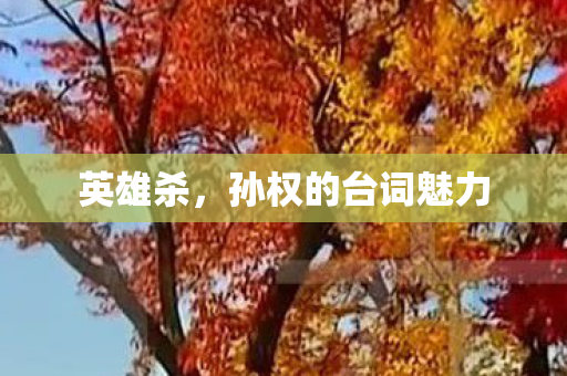 孙权的台词魅力图片