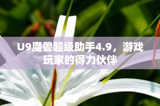 U9魔兽超级助手4图片