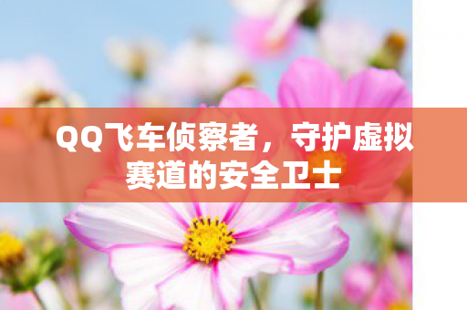 守护虚拟赛道的安全卫士图片