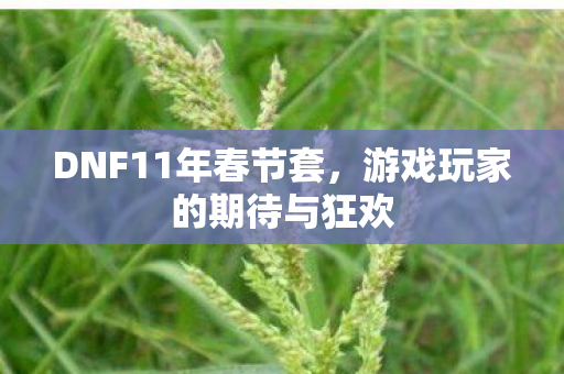 游戏玩家的期待与狂欢图片