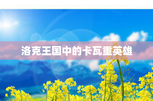 洛克王国中的卡瓦重英雄图片