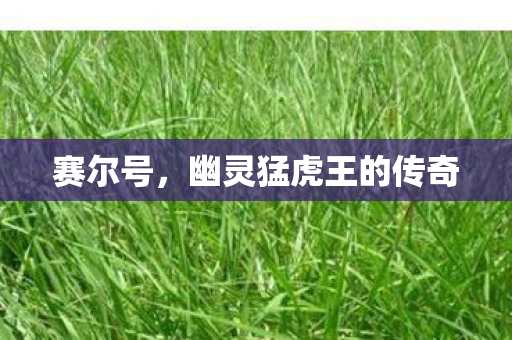 幽灵猛虎王的传奇图片