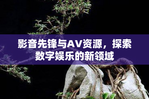 探索数字娱乐的新领域图片