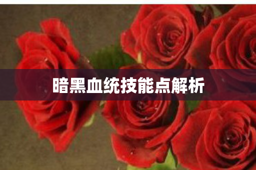 暗黑血统技能点解析图片