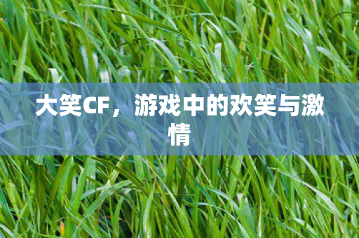 游戏中的欢笑与激情图片