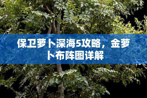保卫萝卜深海5攻略图片