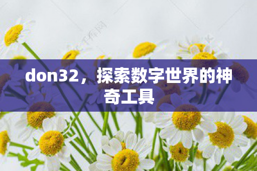 探索数字世界的神奇工具图片