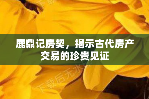 揭示古代房产交易的珍贵见证图片