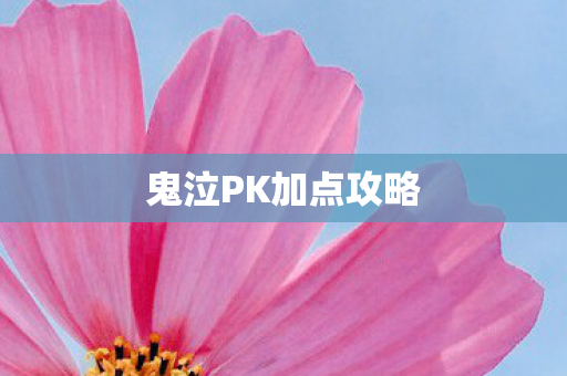 鬼泣PK加点攻略图片
