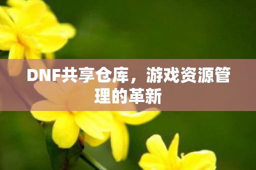 游戏资源管理的革新图片
