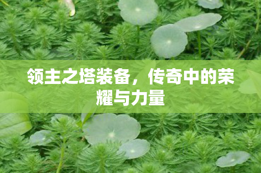 传奇中的荣耀与力量图片