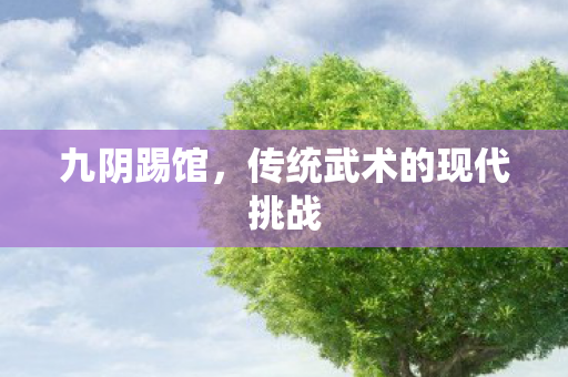 传统武术的现代挑战图片