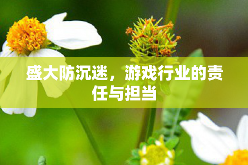 游戏行业的责任与担当图片