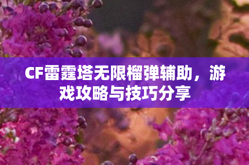 CF雷霆塔无限榴弹辅助图片
