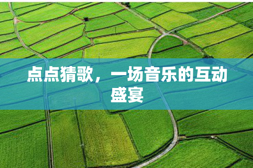 一场音乐的互动盛宴图片