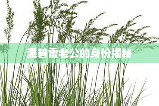 温碧霞老公的身份揭秘图片