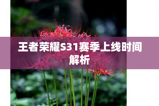 王者荣耀S31赛季上线时间解析图片