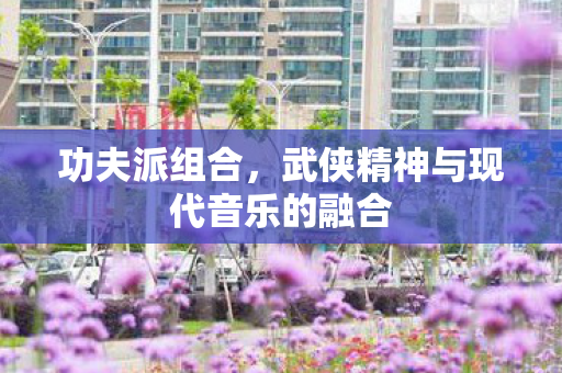 武侠精神与现代音乐的融合图片