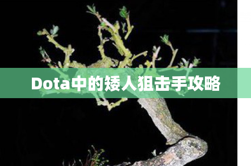 Dota中的矮人狙击手攻略图片