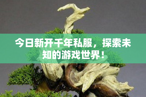 探索未知的游戏世界图片
