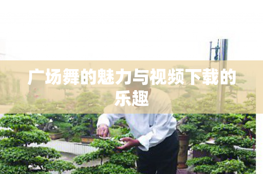 广场舞的魅力与视频下载的乐趣图片