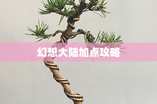 幻想大陆加点攻略图片