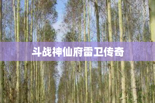 斗战神仙府雷卫传奇图片