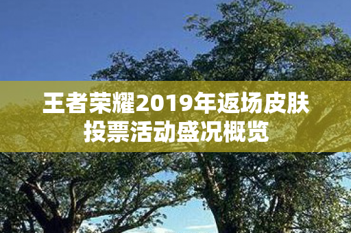 王者荣耀2019年返场皮肤投票活动盛况概览图片