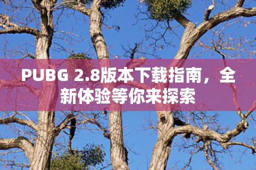 全新体验等你来探索图片