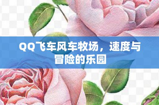 QQ飞车风车牧场图片