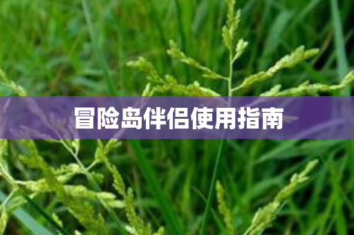 冒险岛伴侣使用指南图片