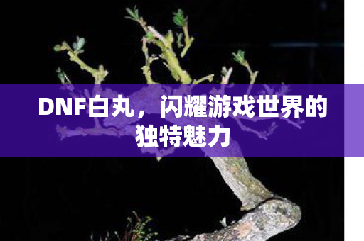 闪耀游戏世界的独特魅力图片