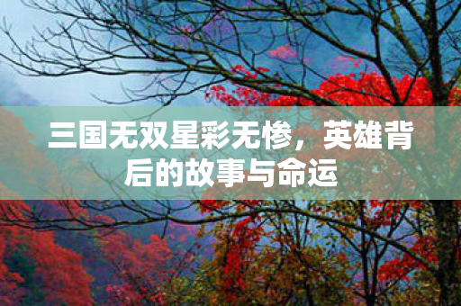 英雄背后的故事与命运图片