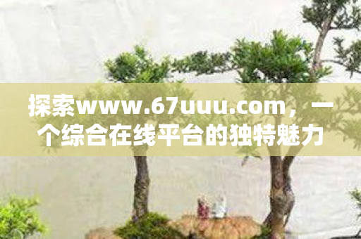 一个综合在线平台的独特魅力图片