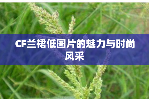 CF兰裙低图片的魅力与时尚风采图片