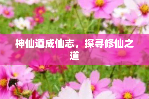 神仙道成仙志图片