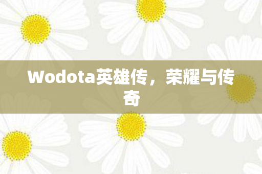 Wodota英雄传图片