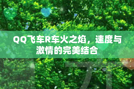 速度与激情的完美结合图片
