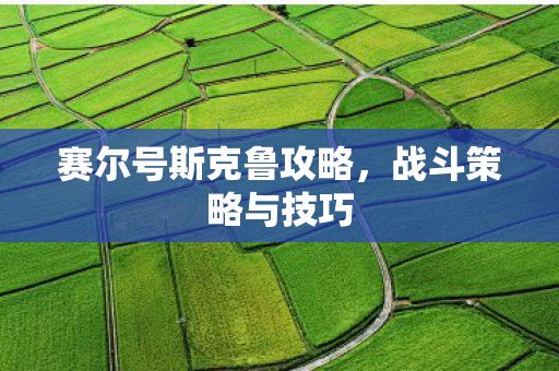 赛尔号斯克鲁攻略图片