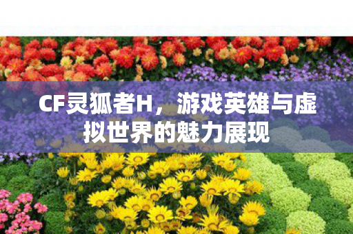 游戏英雄与虚拟世界的魅力展现图片